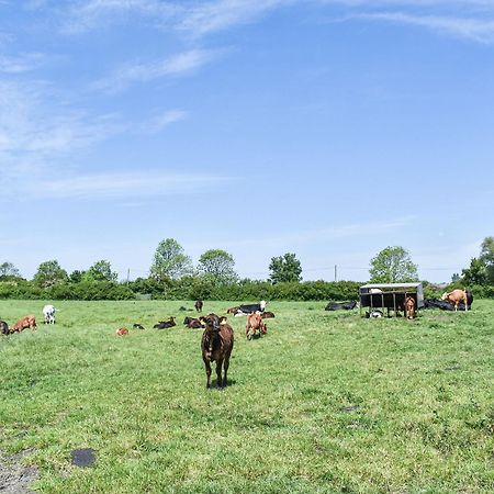 Green Acre Farm Ely Luaran gambar