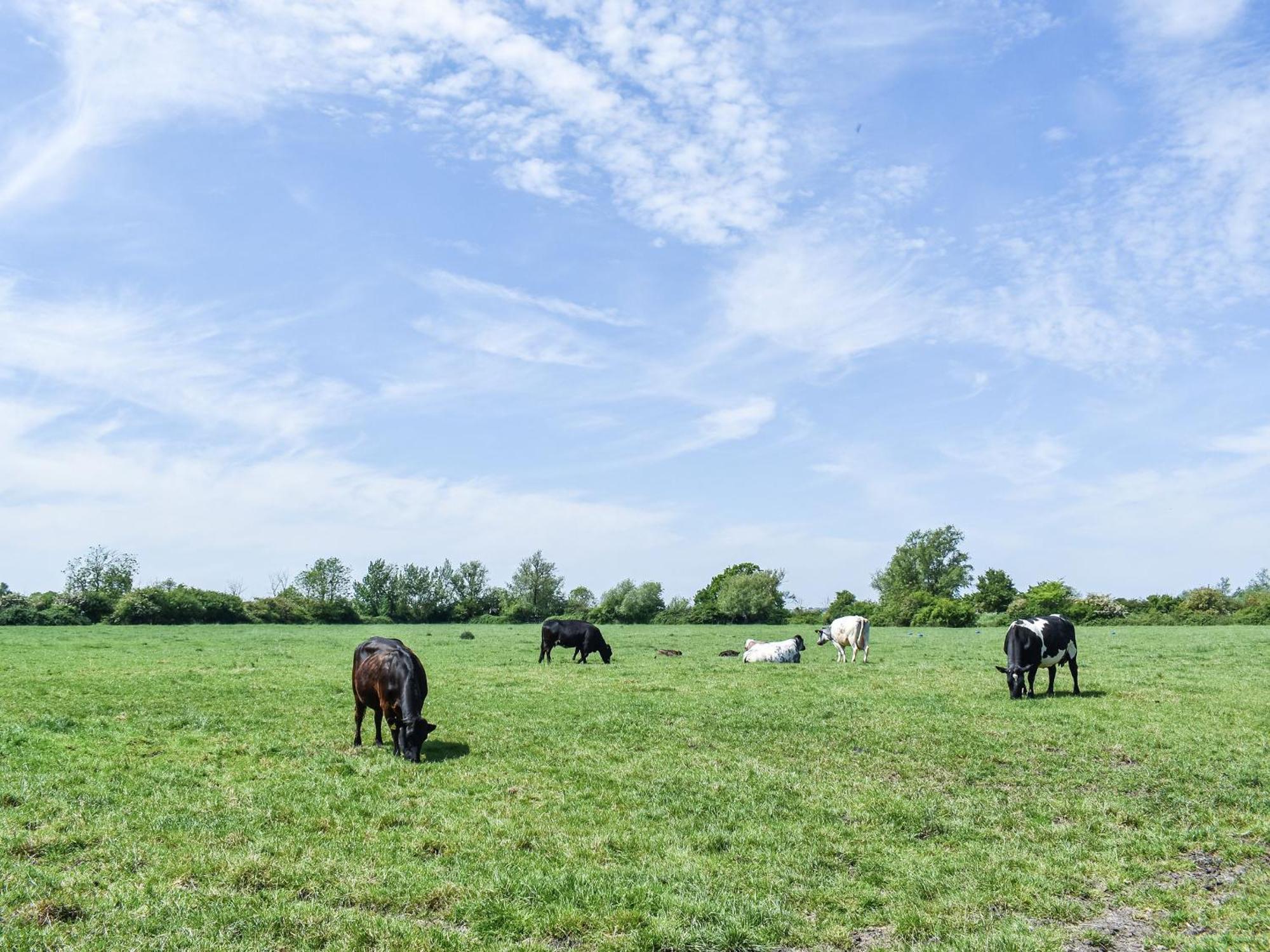 Green Acre Farm Ely Luaran gambar