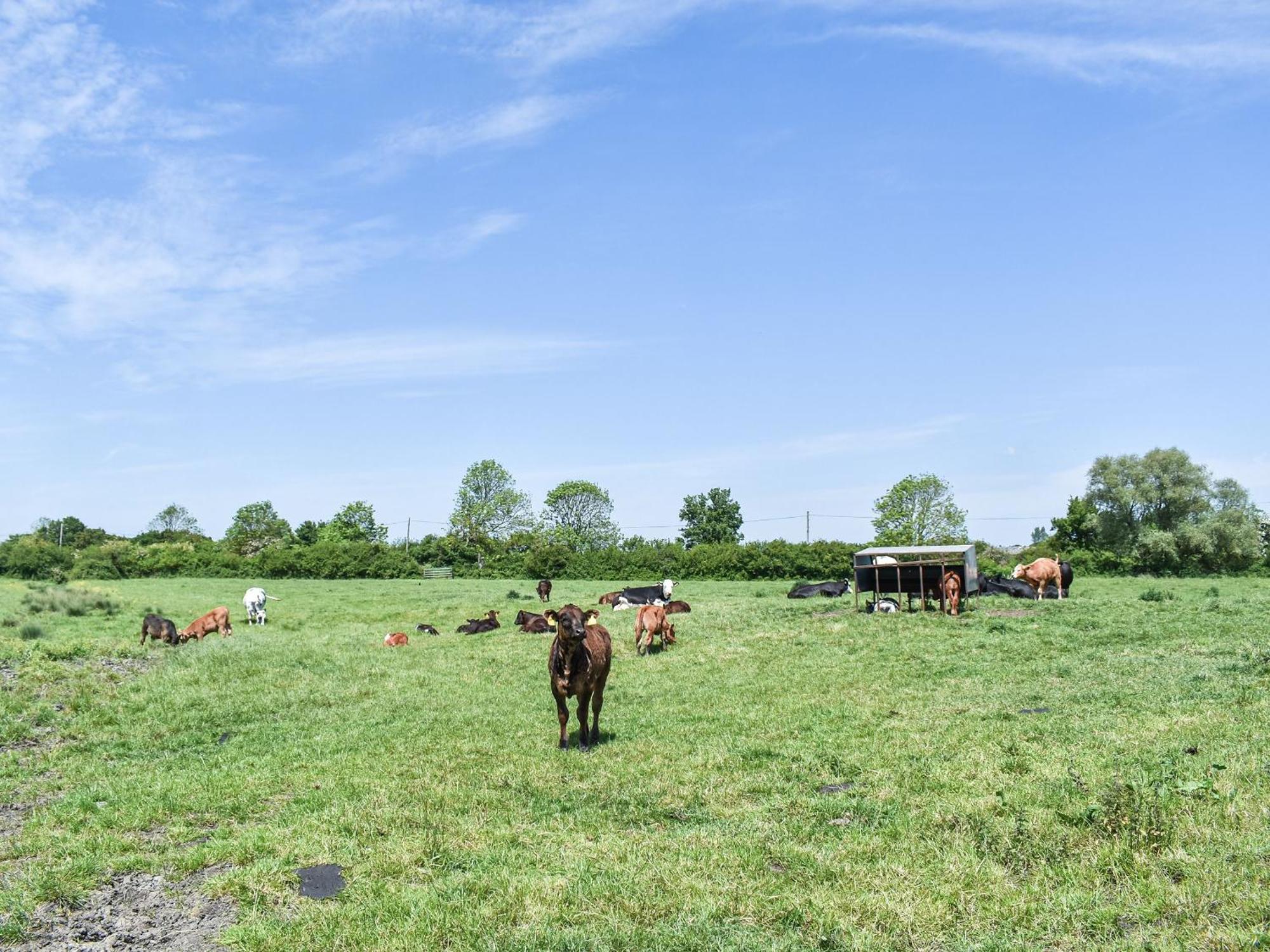 Green Acre Farm Ely Luaran gambar